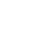 moliem AI